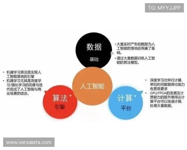 B费是否依赖体系?战术角色与自主创造能力分析 B费是否依赖体系?战术角色与自主创造能力分析